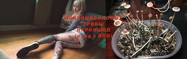 метадон Алексин