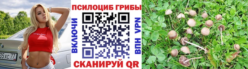 Галлюциногенные грибы GOLDEN TEACHER  где купить наркоту  blacksprut сайт  Болхов 